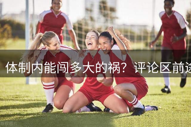 体制内能闯多大的祸？评论区前途一片黑暗